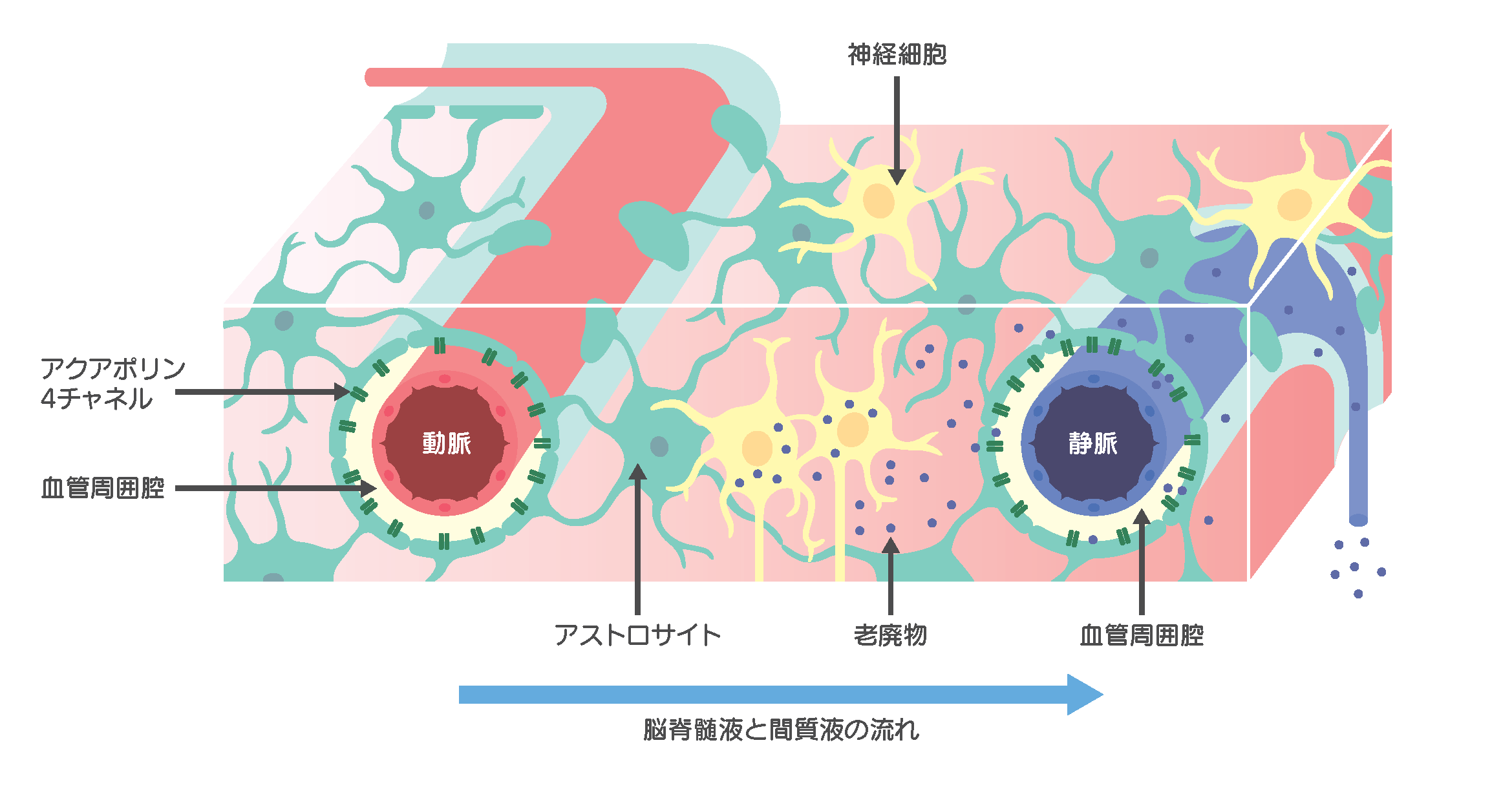 図